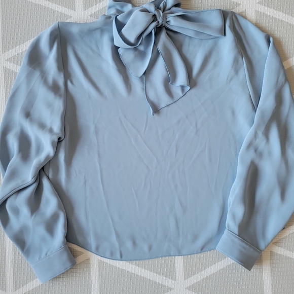 Babaton Blouse - Picture 2 of 2